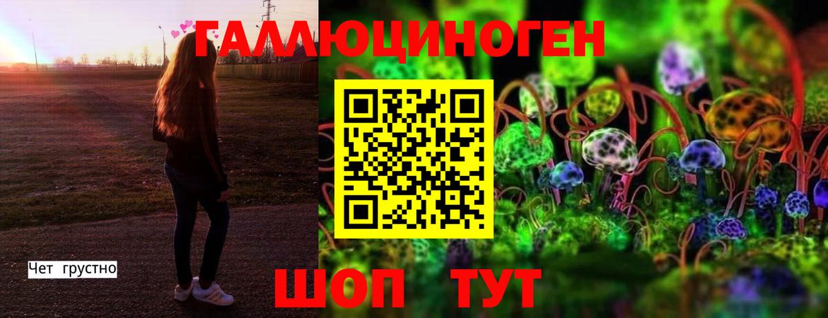 Псилоцибиновые грибы GOLDEN TEACHER  Вход с VPN  Пенза 