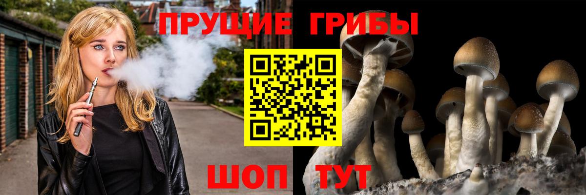 Галлюциногенные грибы прущие грибы Пенза